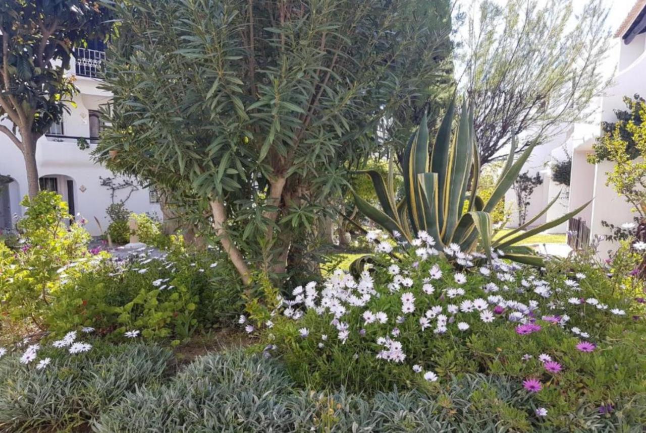 Apartment Sao Rafael Holidays Albufeira Exterior foto